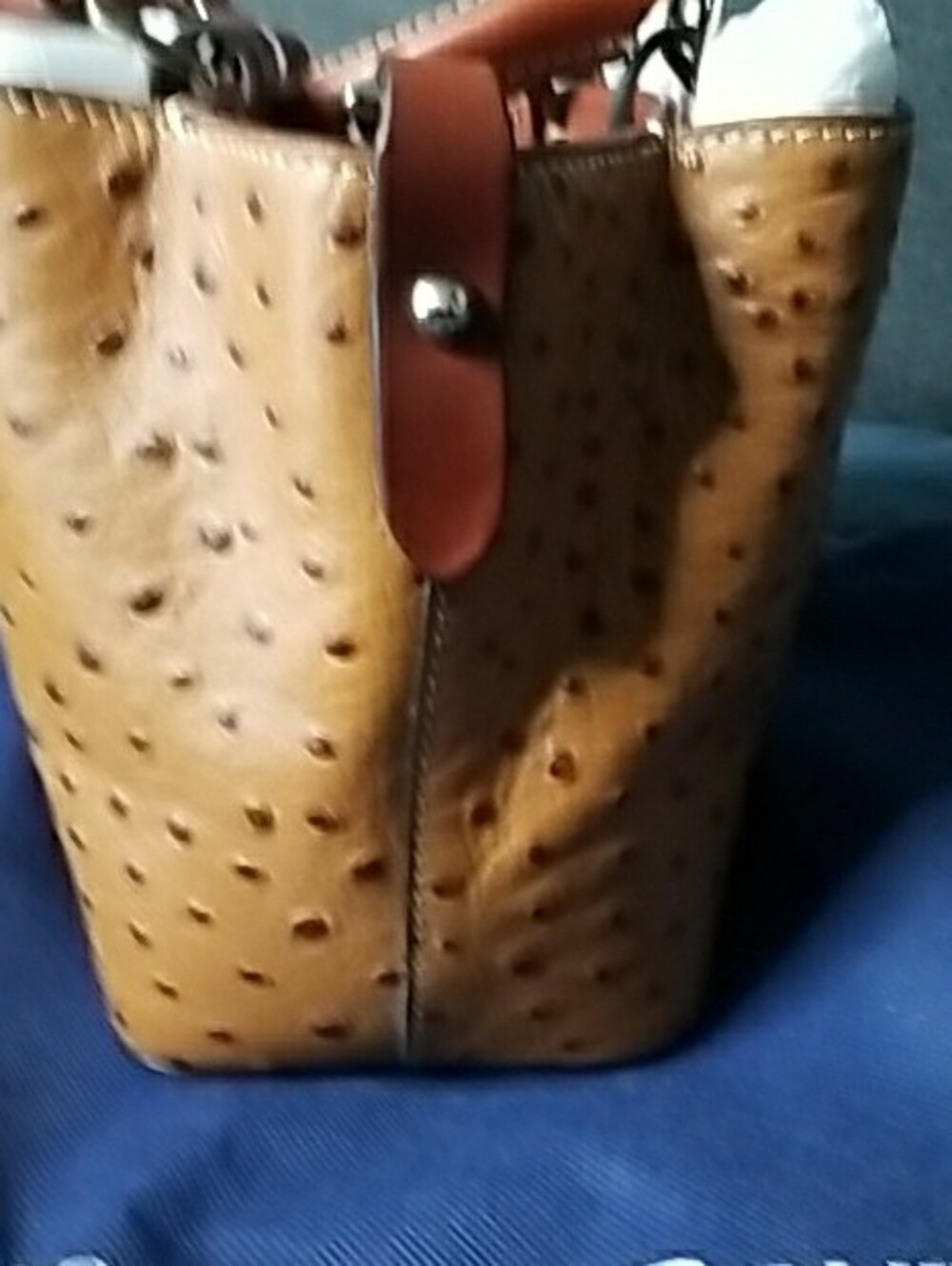 Dooney & Bourke Tan Ostrich-Embossed Satchel Mini with Brown Trim - Picture 5 of 13